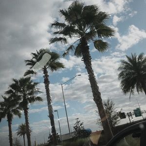 Meet your Posher, Abbie